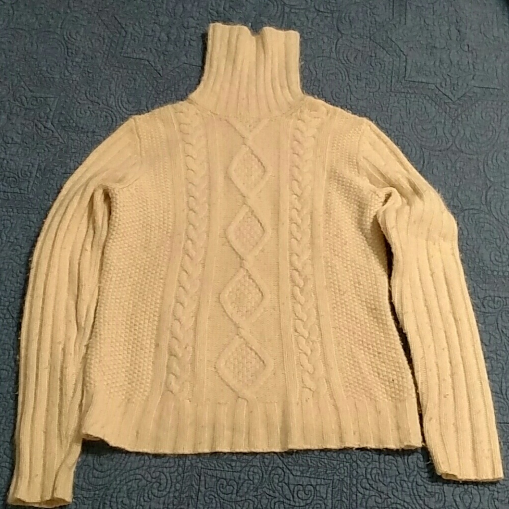 Woman's banana republic turtle neck sweater.